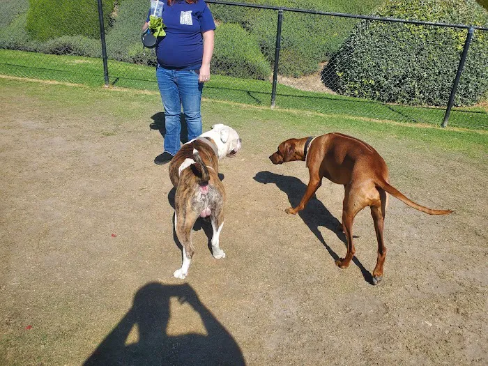 Crystal Cove Dog Park 7