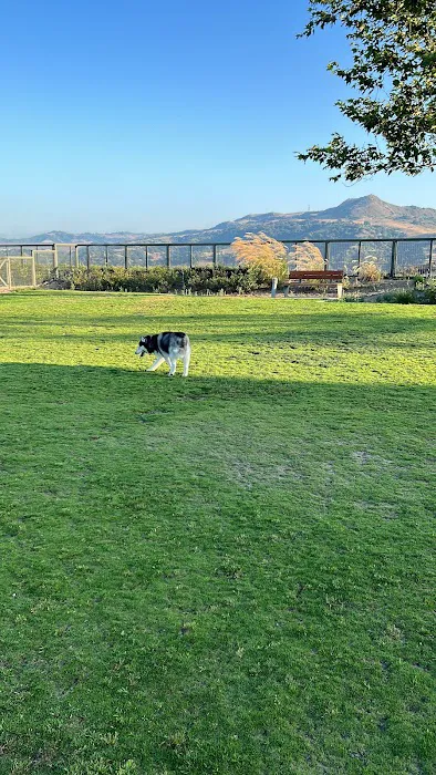 South Paw Dog Park (Private) 6