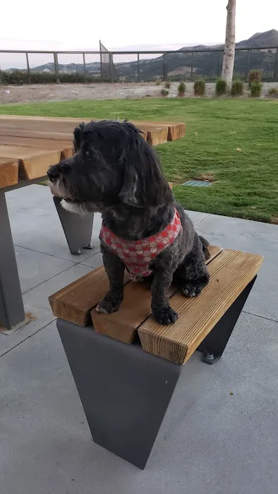 South Paw Dog Park (Private) 2