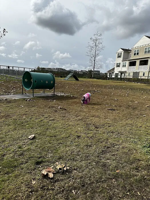 South Paw Dog Park (Private) 10