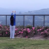 South Paw Dog Park (Private) ico