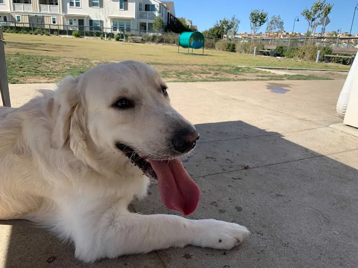 South Paw Dog Park (Private) 9