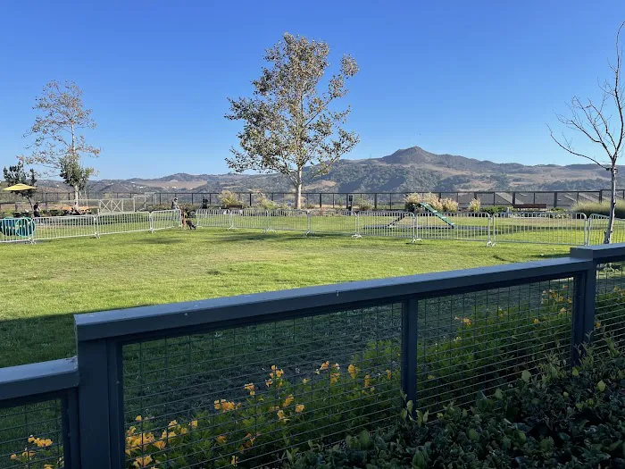 South Paw Dog Park (Private) 8
