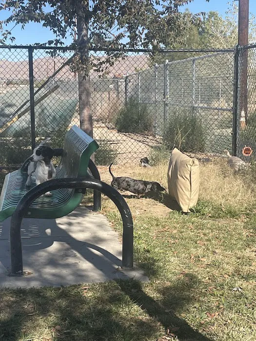 Civic Center Dog Park 3