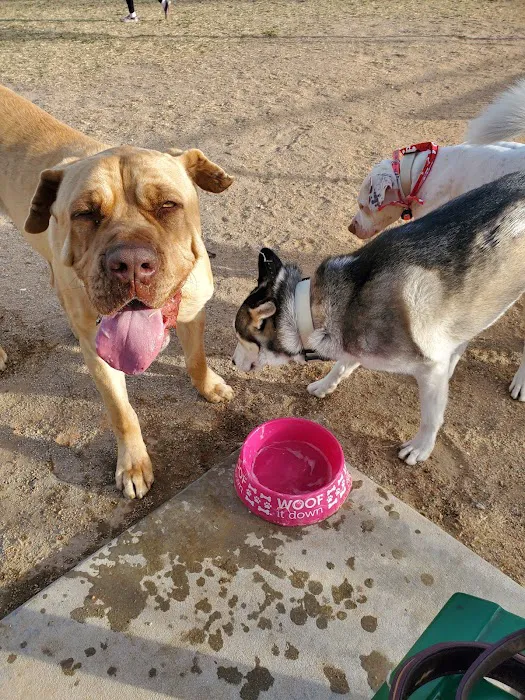Civic Center Dog Park 6