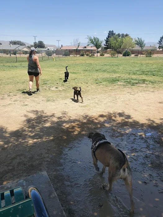 Civic Center Dog Park 9