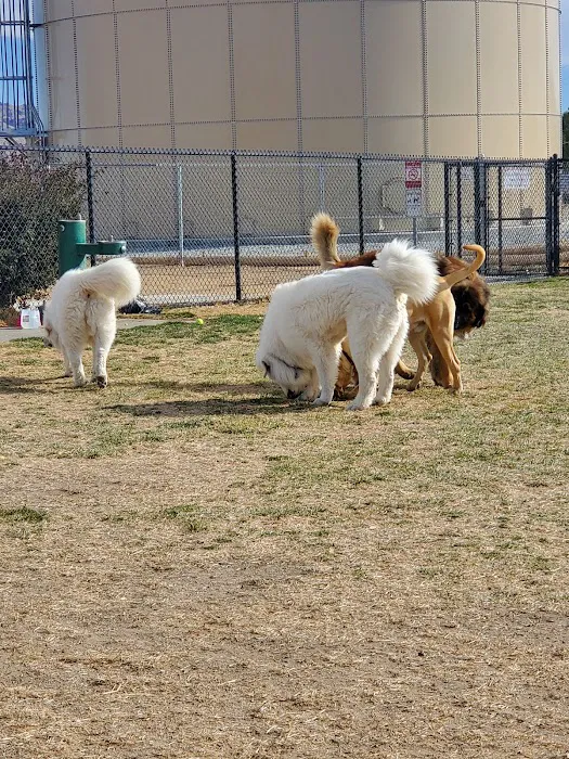 Civic Center Dog Park 10