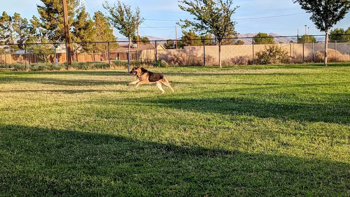 Civic Center Dog Park 4