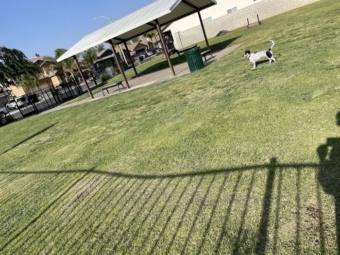 Paws Dog Park 3