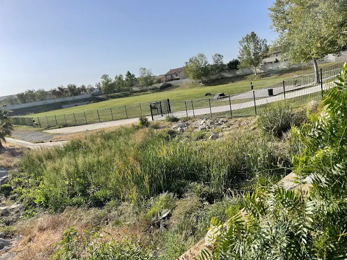 Paws Dog Park 7