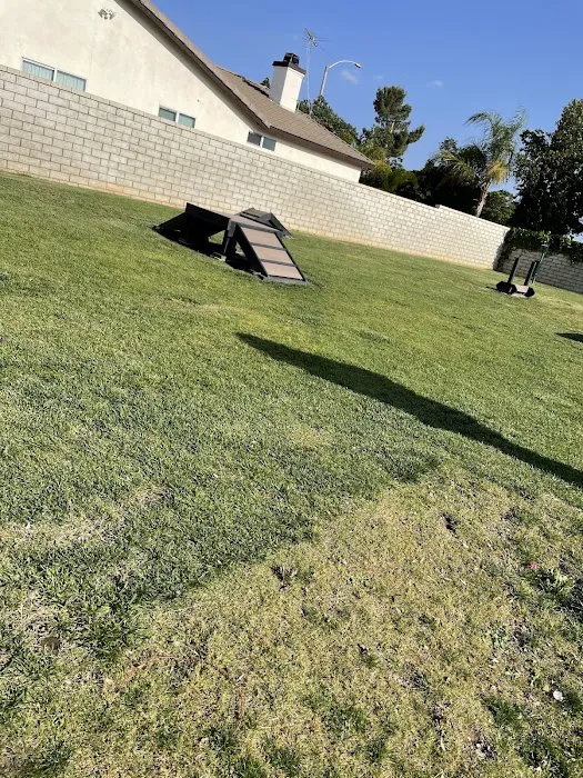 Paws Dog Park 6