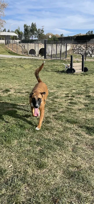 Paws Dog Park 1