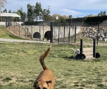 Paws Dog Park