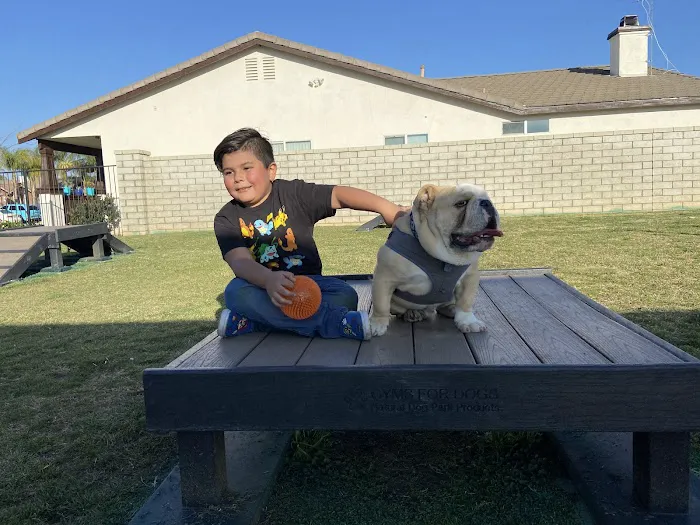 Paws Dog Park 5