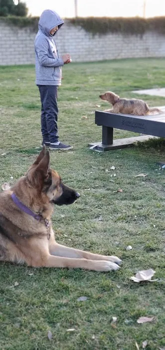 Paws Dog Park 4