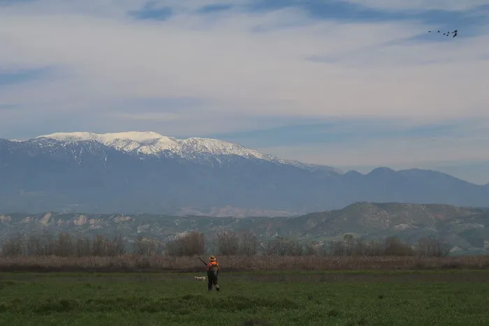San Jacinto Dog Training Park 4