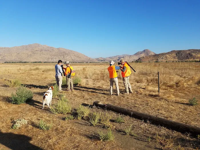 San Jacinto Dog Training Park 7