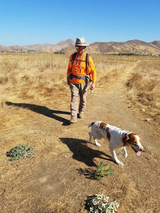 San Jacinto Dog Training Park 9