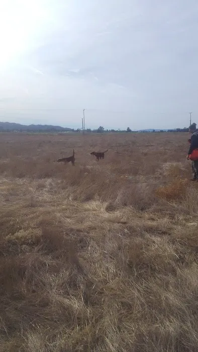 San Jacinto Dog Training Park 2