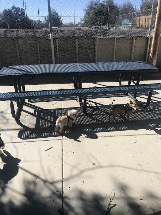 Noble Dog Park 7