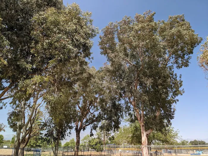 Noble Dog Park 4