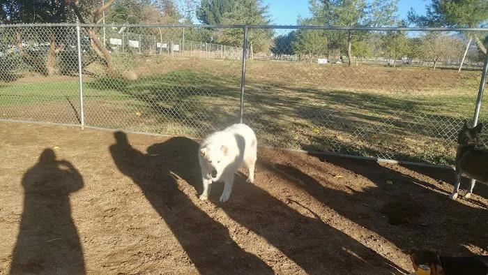 Noble Dog Park 2