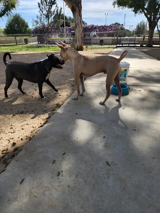 Noble Dog Park 9