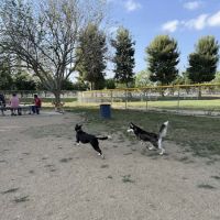 Noble Dog Park ico