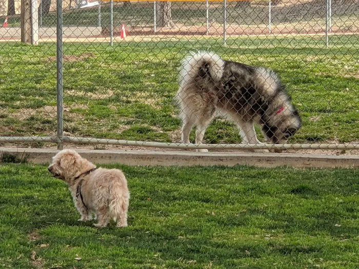 Noble Dog Park 3