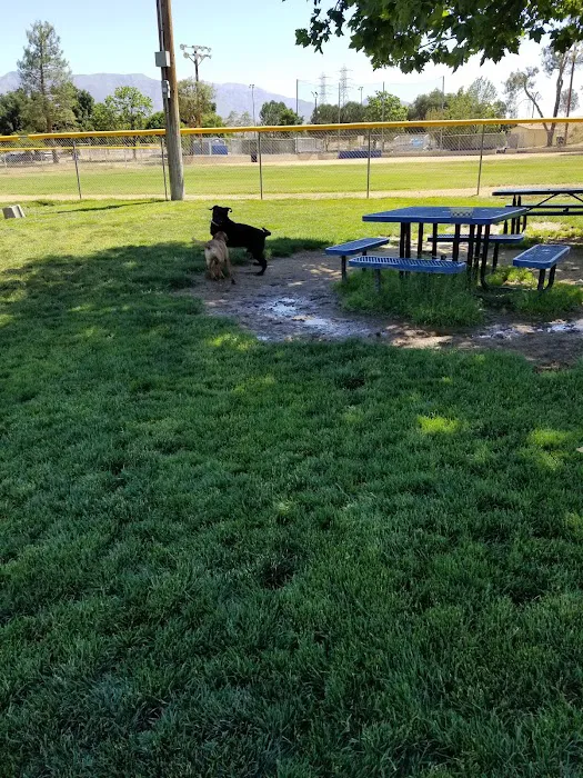 Noble Dog Park 5