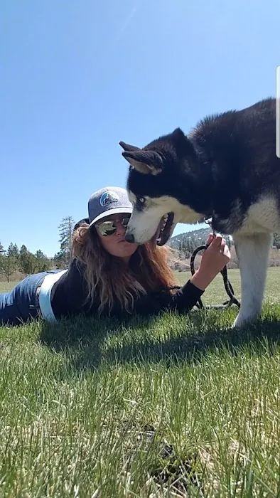 Bark Park 3