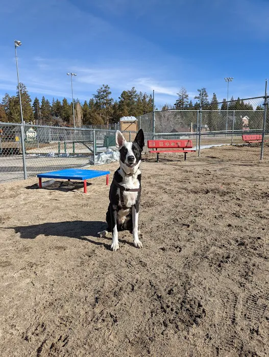Bark Park 10