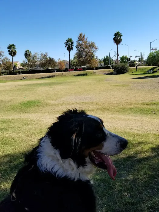 Aldergate Dog Park, Valley-Wide Recreation and Park District 8