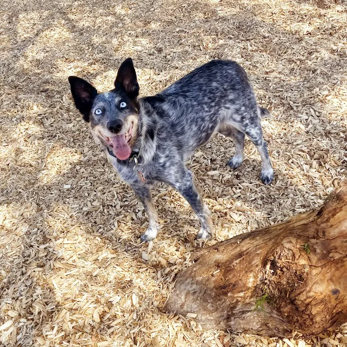 Aldergate Dog Park, Valley-Wide Recreation and Park District 9