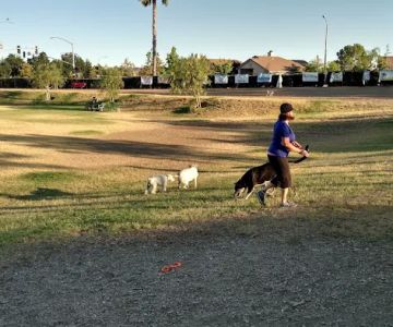Aldergate Dog Park, Valley-Wide Recreation and Park District