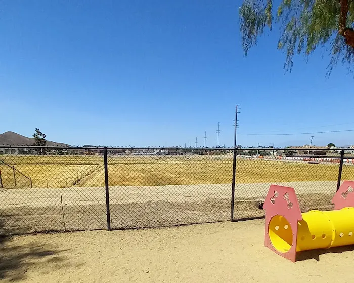 Dog Park 3