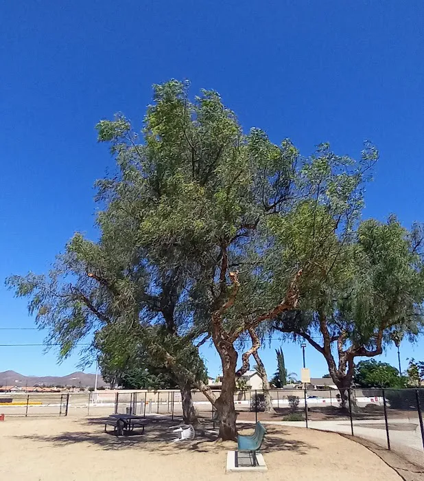 Dog Park 1
