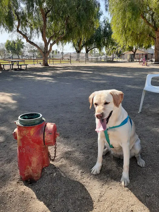Dog Park 9