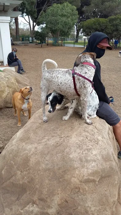 MacKenzie Park Dog Park 3