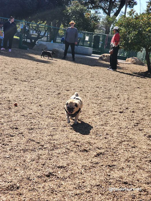 MacKenzie Park Dog Park 2