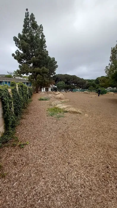 MacKenzie Park Dog Park 8