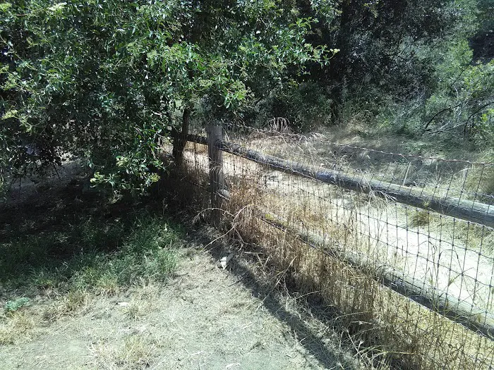 Tucker's Grove Dog Park 4