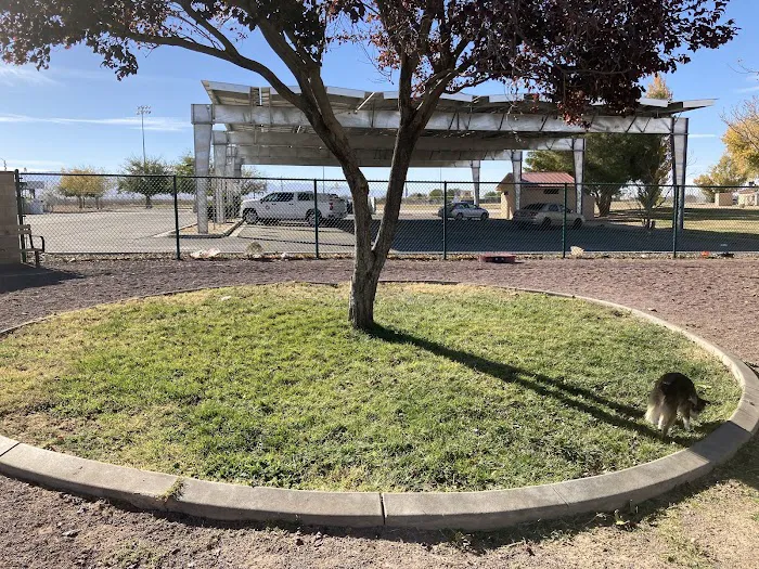 Adelanto Dog Park 2