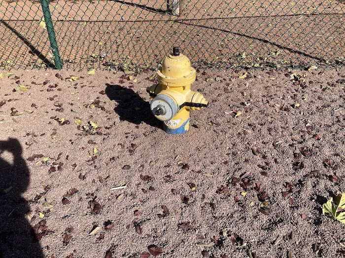 Adelanto Dog Park 4