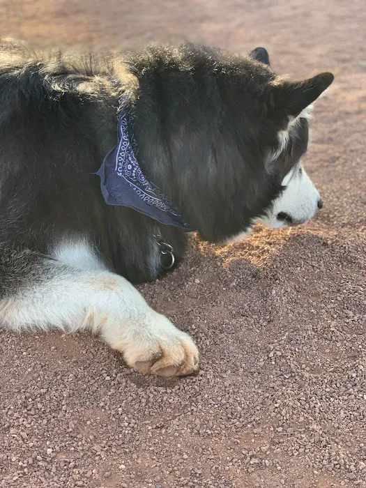 Adelanto Dog Park 6