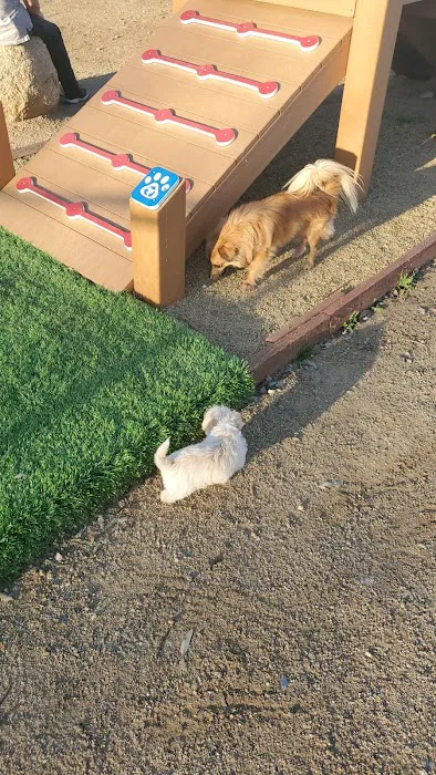 Serenity Dog Park 9