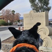 Serenity Dog Park ico