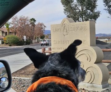 Serenity Dog Park