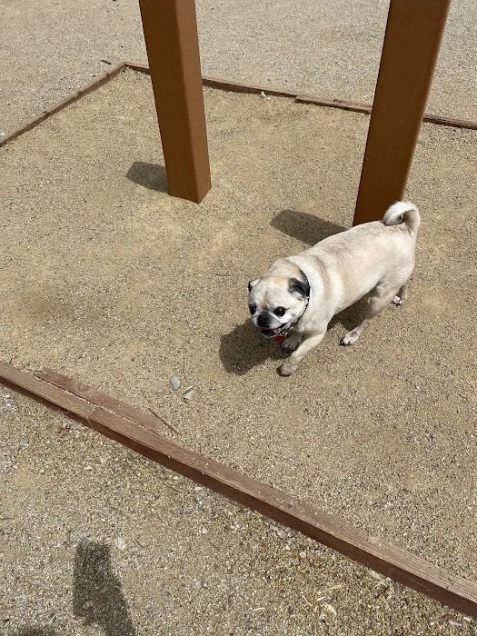Serenity Dog Park 2