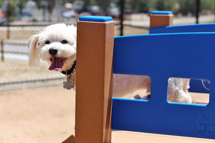 Serenity Dog Park 8